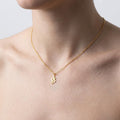 Snake Choker Necklace