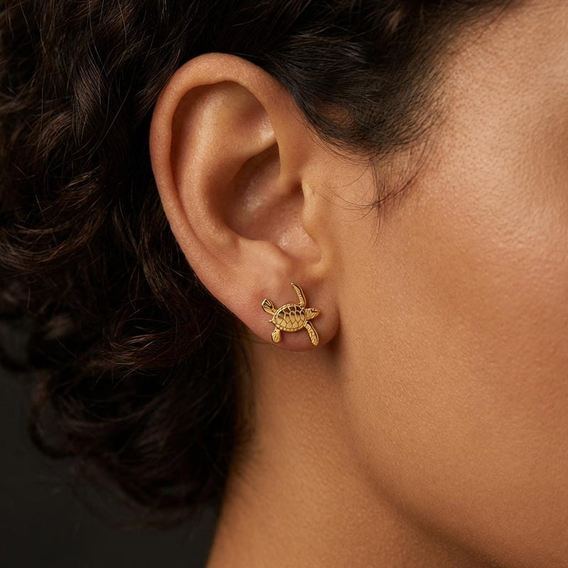 Pair of small turtle stud earrings in gold seen from above with a patterned shell (4 of 9)