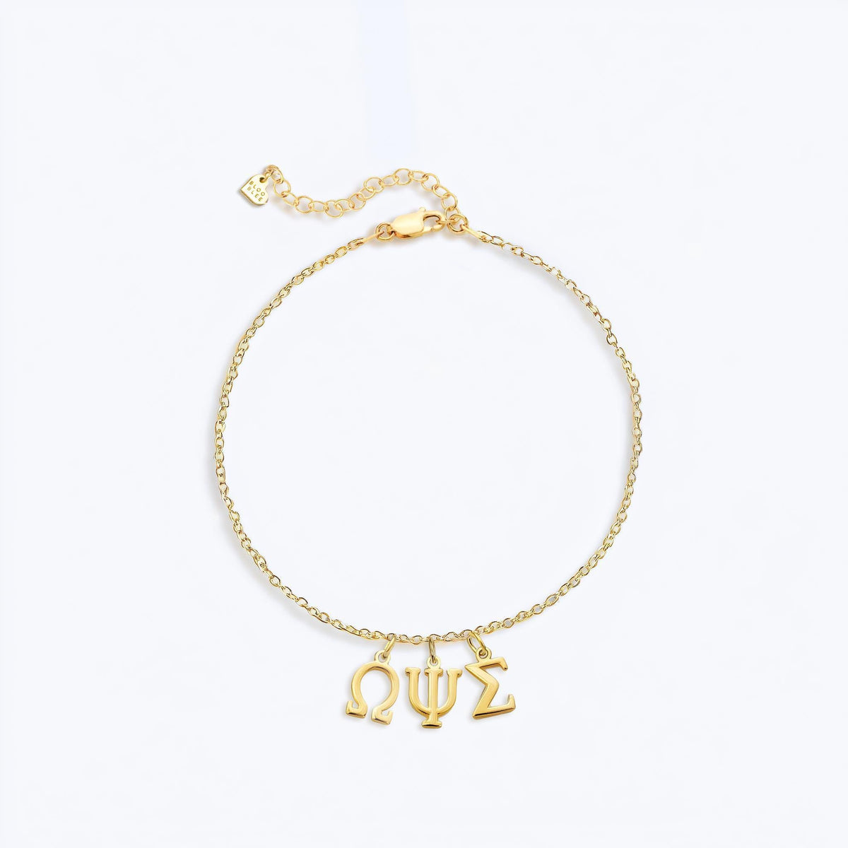 Fine gold chain bracelet with several small Greek letter and symbol charms