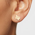 Texas State Stud Earrings