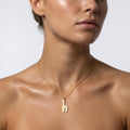 Giraffe Pendant Necklace