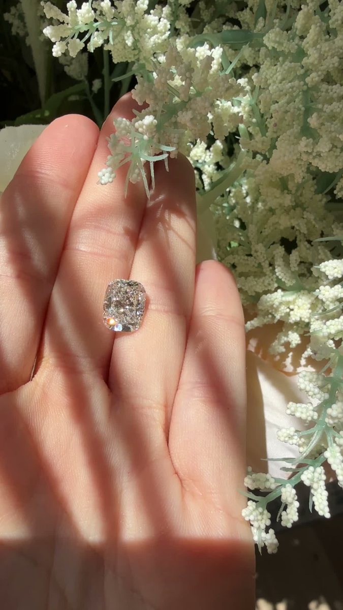 An oval ring held up in front of green leaves