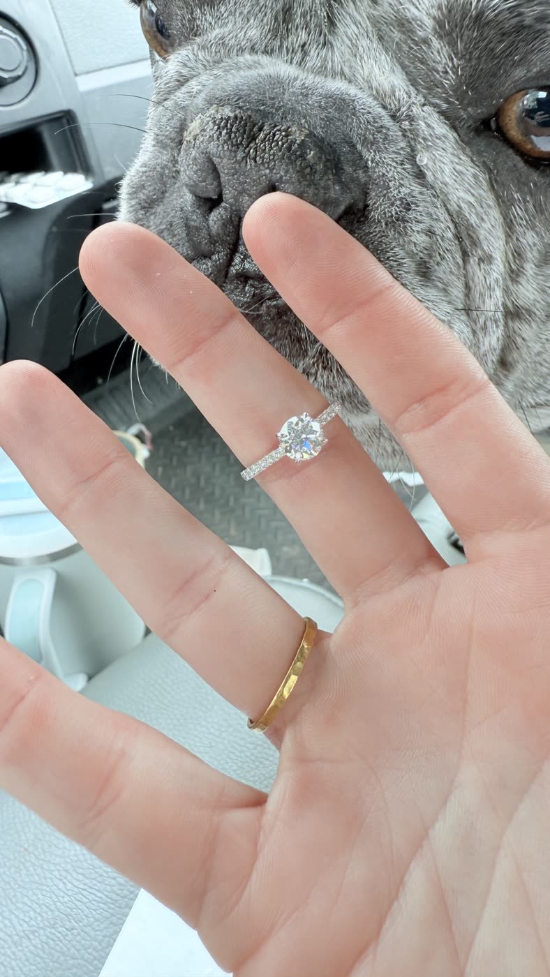 A commissioned ring worn on a hand